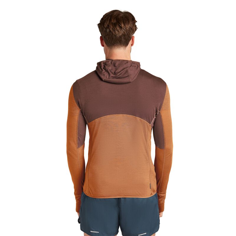 Icebreaker M Merino Blend 200 RealFleece Descender LS Zip Hoodie image number 1